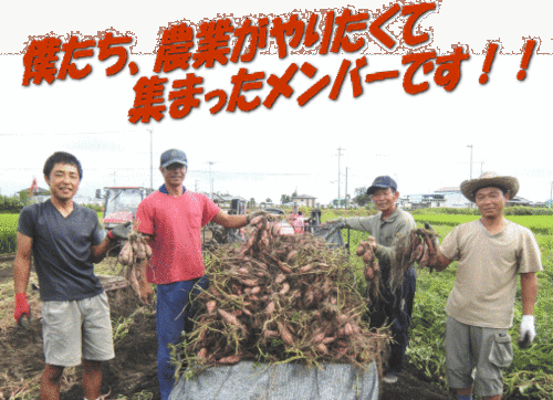 高知のいごっそう（頑固者）野菜を紹介いたします