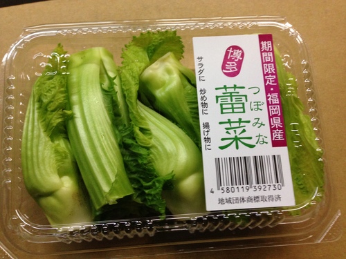 蕾菜入荷しました。